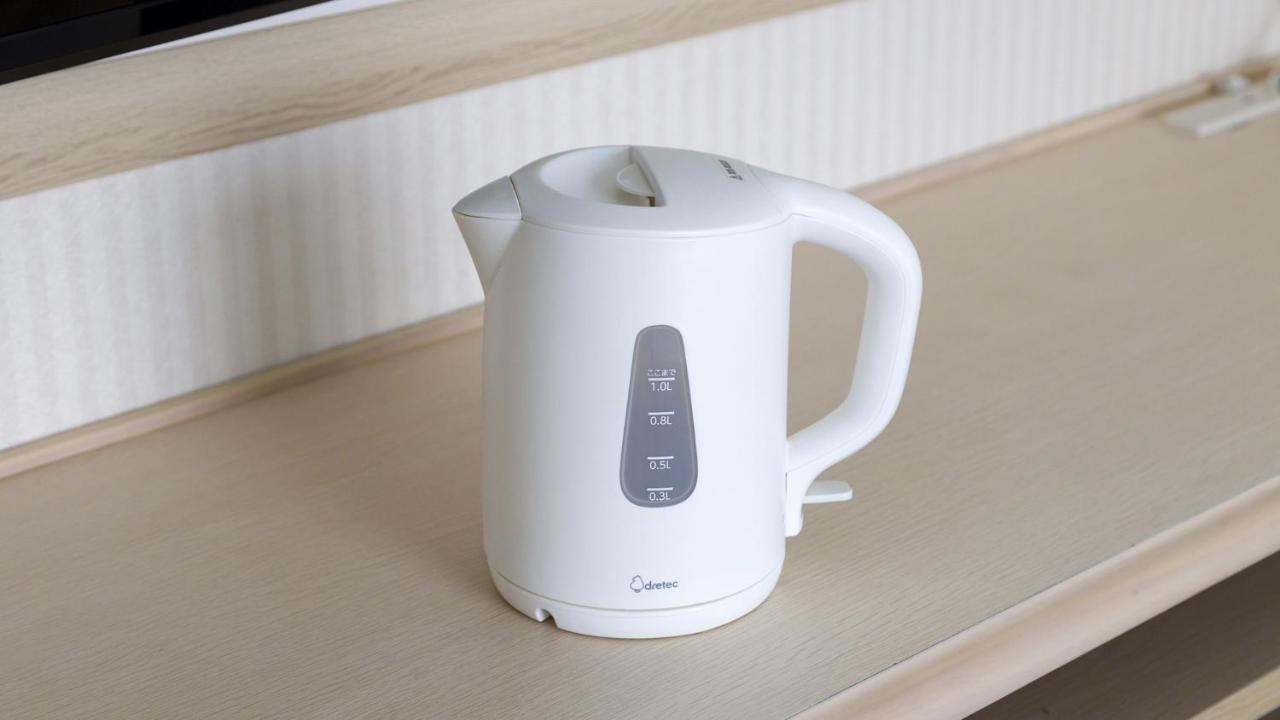 Toyoko Inn Shizuoka Eki Kita Guchi Екстер'єр фото